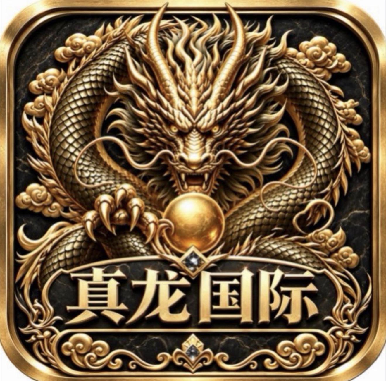 真龙国际新开业图标